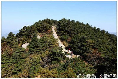 关于我大别中的人生的句子