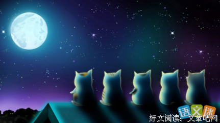 有关待分类的句子