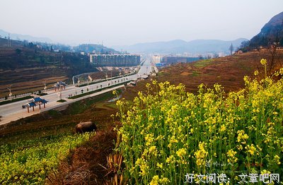 晨曦好词好句