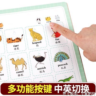 《《宝宝的好奇英语书》》读后感100字
