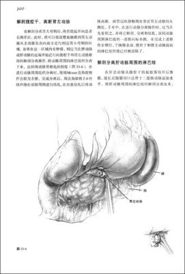 春明梦忆的读后感大全