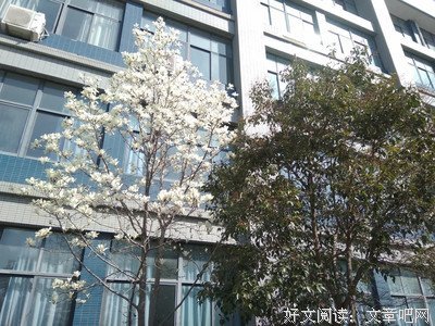 最经典的沈熹微的名言名句