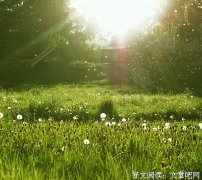 《郭敬明》的句子