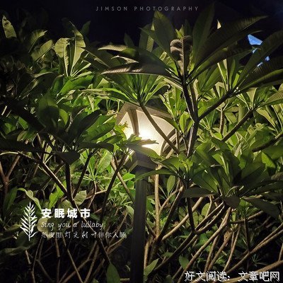 《断尘》的句子