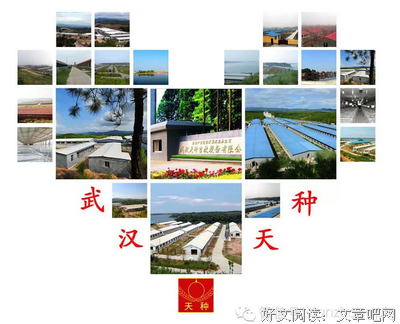 来眼天种毛经典句集名句欣赏