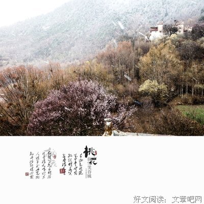 看见春风听见雪经典的句子