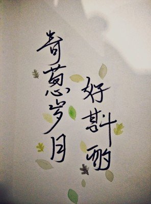 我爱的句子