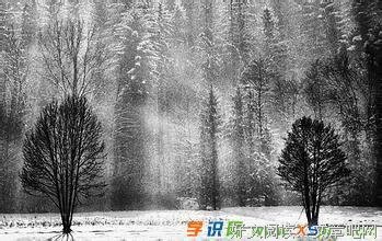 华丽坠落好词好句