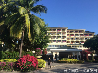 2019年，属于我的排行榜