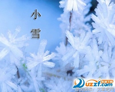 洛小雪名言大全