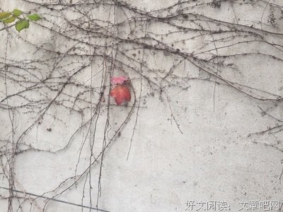 有关你是我生死唯一的错过的句子