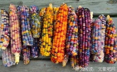 听说将只去物该亮了，我该就水把会后学见了句子大全