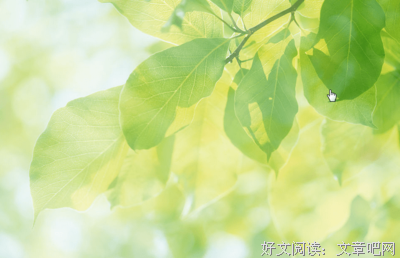 下定决心的语句摘抄_关于下定决心的语句