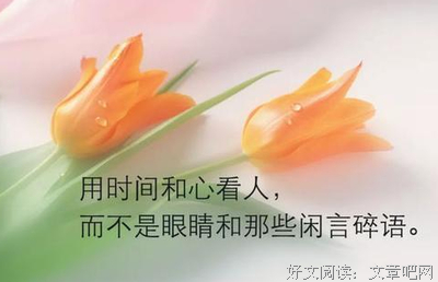 宁静与忧伤将月那将间经典的句子