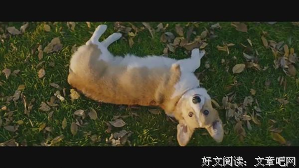 2019最后一天，知乎21万赞火了：每个人最终的归宿都是自己