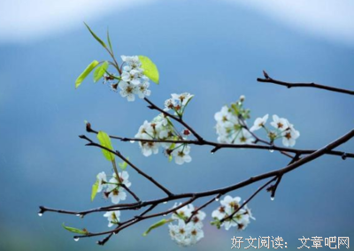 最新的海明威的名句