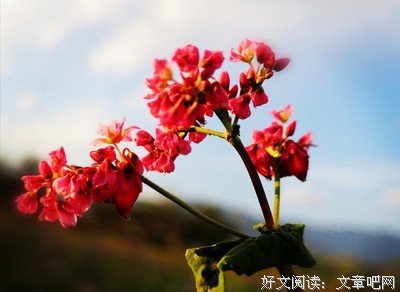过了今天,就是明年!