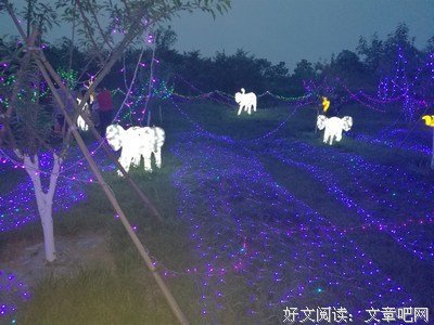 如梦似火名句欣赏