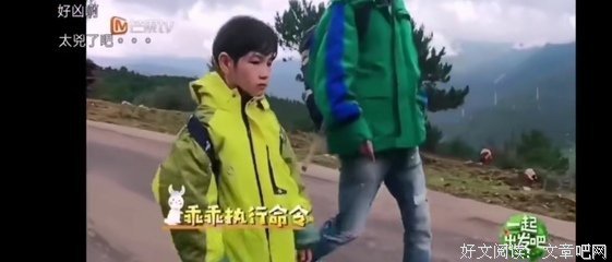 杨烁，你真可怜！