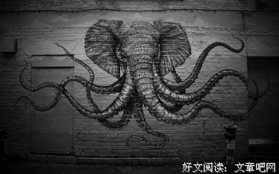 《大象女王》好看吗？经典影评锦集
