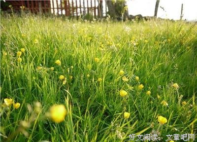 哲思句子大全