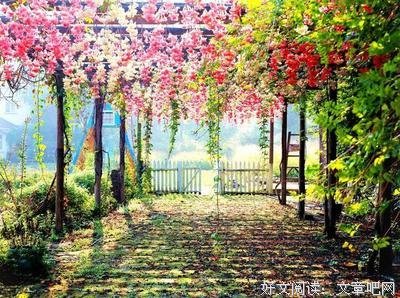 不厌的句子