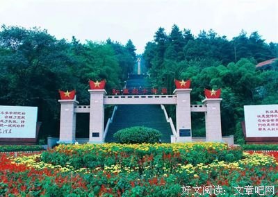 苟诗伟