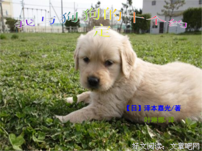 起却来叫金毛好词好句