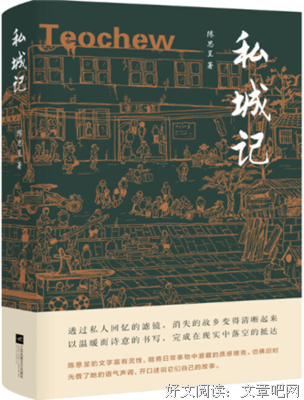 《私城记》读后感锦集
