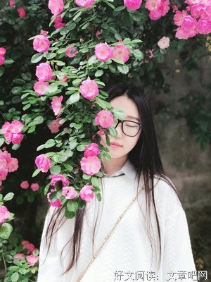 今天穿什么读后感1000字