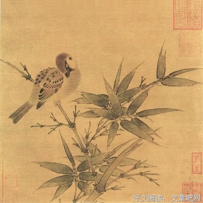 《这美好的一天》的读后感大全