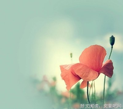 15条关于一句话的经典语句