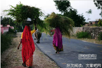 关于丹尼尔的名言