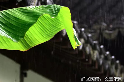 关于一颦一笑的语句