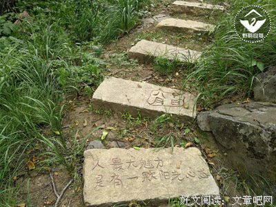 关于世外桃源的格言