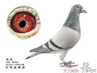 仁德的句子