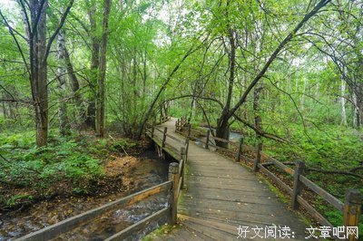 我们站在20年代眺望未来