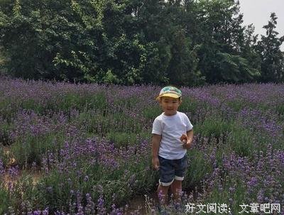 胖鱼碎碎念：2020，我爱你！