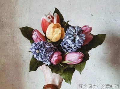 2020年，女人必须要看的几句话！（建议收藏）