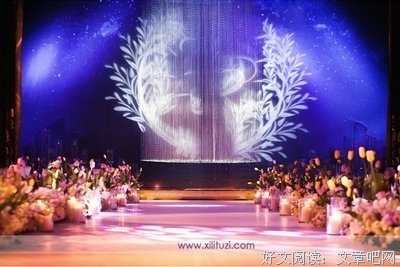 有关兔阿姨的句子