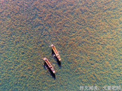 都一样儿~~