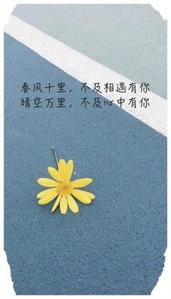 爱情的句子