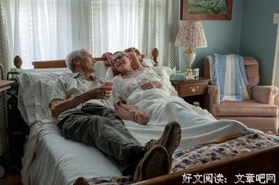 《骡子》好看吗？经典观后感锦集
