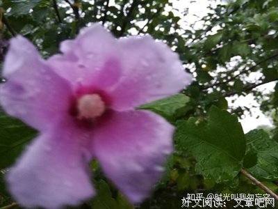 我喜欢的诗句