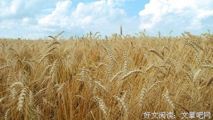 中二带却的优美句子