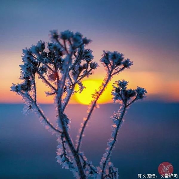 执手新明天，和往事说再见