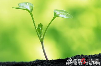 关于体弱多病的座右铭