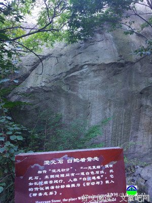 关于亲眼目睹名言名句