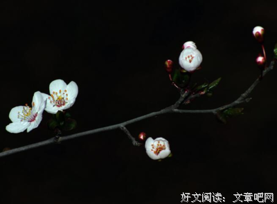 2020，啥最好？（说得真好）