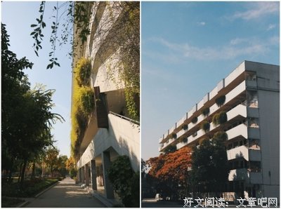 关于一木的优美句子